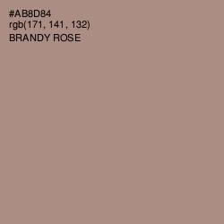 #AB8D84 - Brandy Rose Color Image